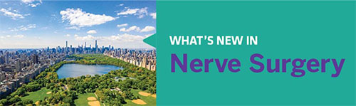 What's New in Nerve Surgery? - Join us in NYC in April 2020 to find out!